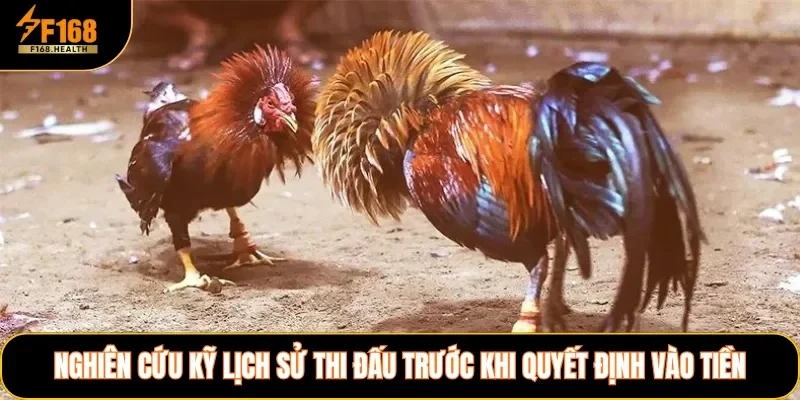 Nghiên cứu kỹ lịch sử thi đấu trước khi quyết định vào tiền