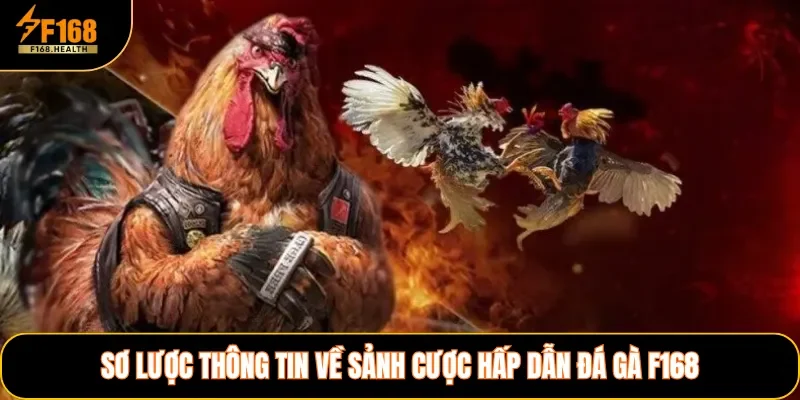Sơ lược thông tin về sảnh cược hấp dẫn đá gà F168